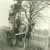 Bob Wisemans brother carting dung at High Whitehills circa 1930.jpg