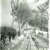 Bus stop at Lickprivick Farm.jpg